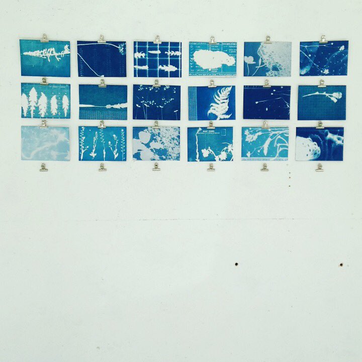 FelicityBristow's tweet photo. Setting up @A449LTD today for @artwalkporty with #SusieWilson showing part of our #Edgelands commission #imPRESSions of #Porty #AWP2017 🌱🌿☀️ https://t.co/o7PXJvHLuK