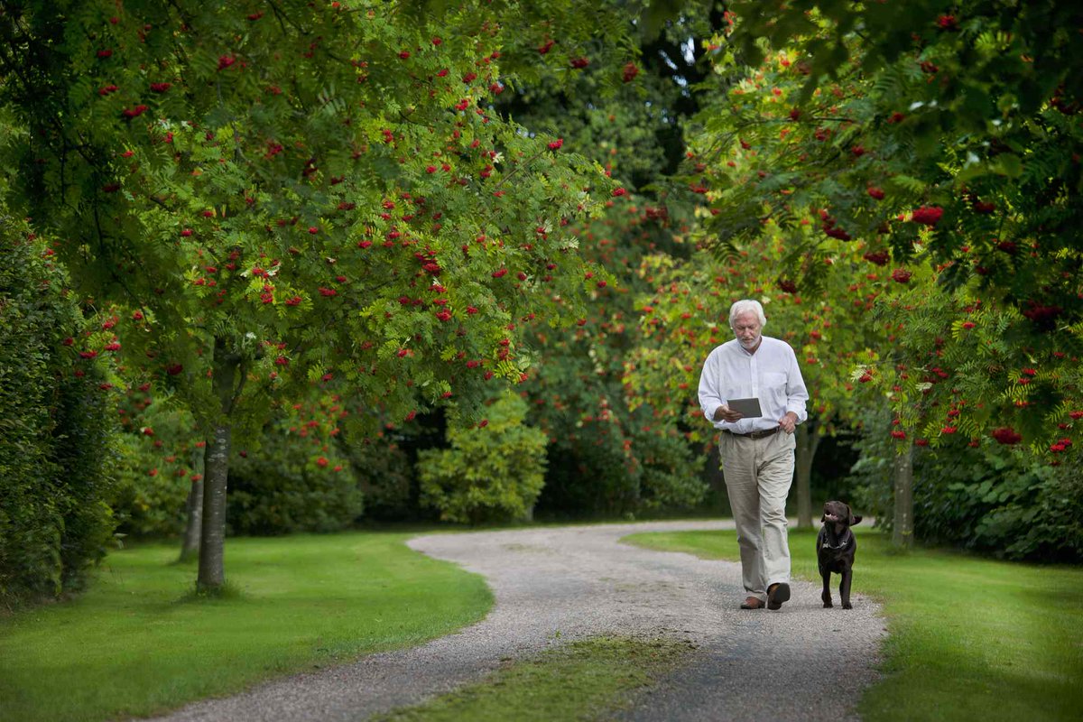 Unify Spain tweet media