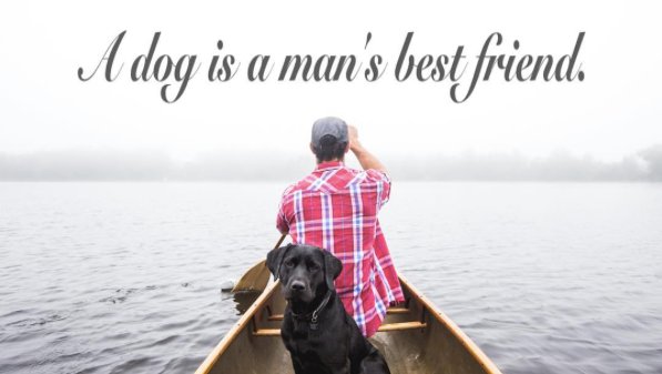 InstaLogoApp's tweet photo. A dog is a man's best friend 🐶 made by @InstaLogoApp https://t.co/3nxiFcC25Y