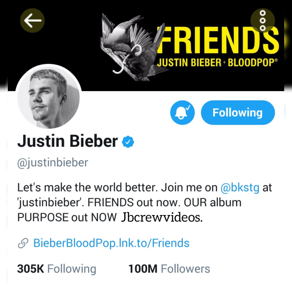 Lush Justin Bieber's Follower Count Tanks By Over 200k On Social Media — Report Photo Concept Lush Justin Bieber's Follower Count Tanks By Over 200k On Social Media — Report Photo Concept