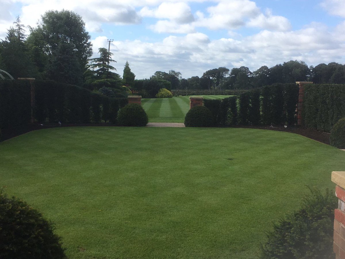 Hydro_Turf's tweet photo. #lawnperfection This is what we do and achieve with the fantastic products from Profile Products. #whylayit_sprayit #hydroturflawn #whyturf https://t.co/Idwo0YzyDT