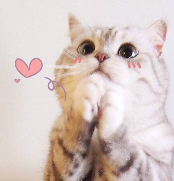 The VR show is beginning!Welcome to find us~ #VeniceFilmFestival