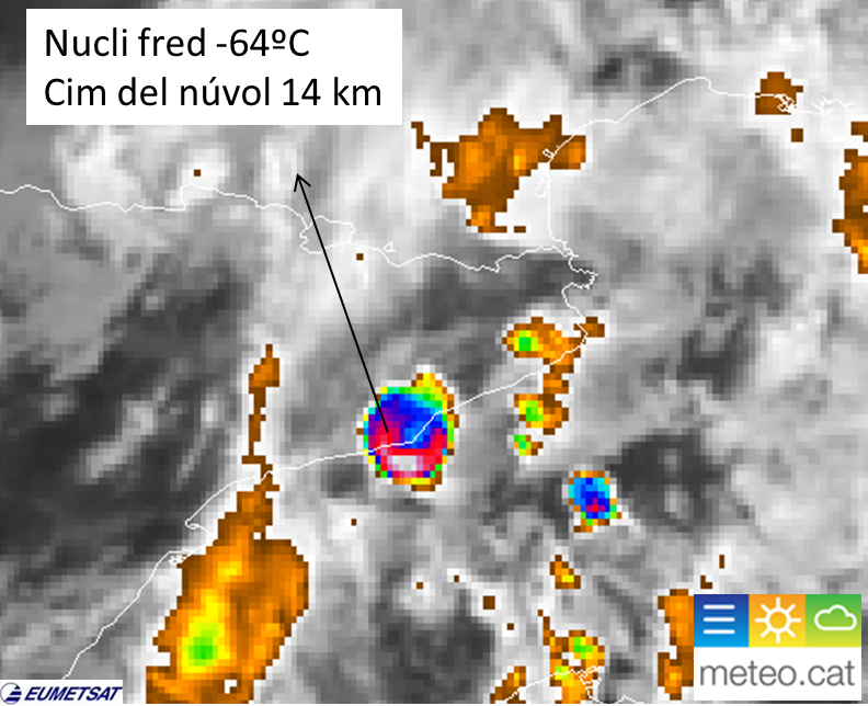 Meteocat tweet media