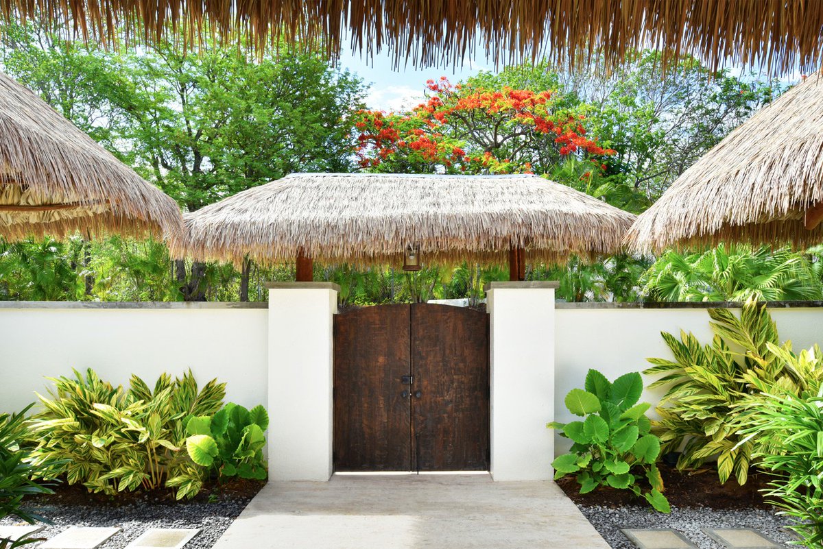 Caribtours's tweet photo. This #TravelThursday we are dreaming of @ParadiseNevis - escape today with Caribtours! https://t.co/pcSTCNlcs1 https://t.co/EAM3J7dk42
