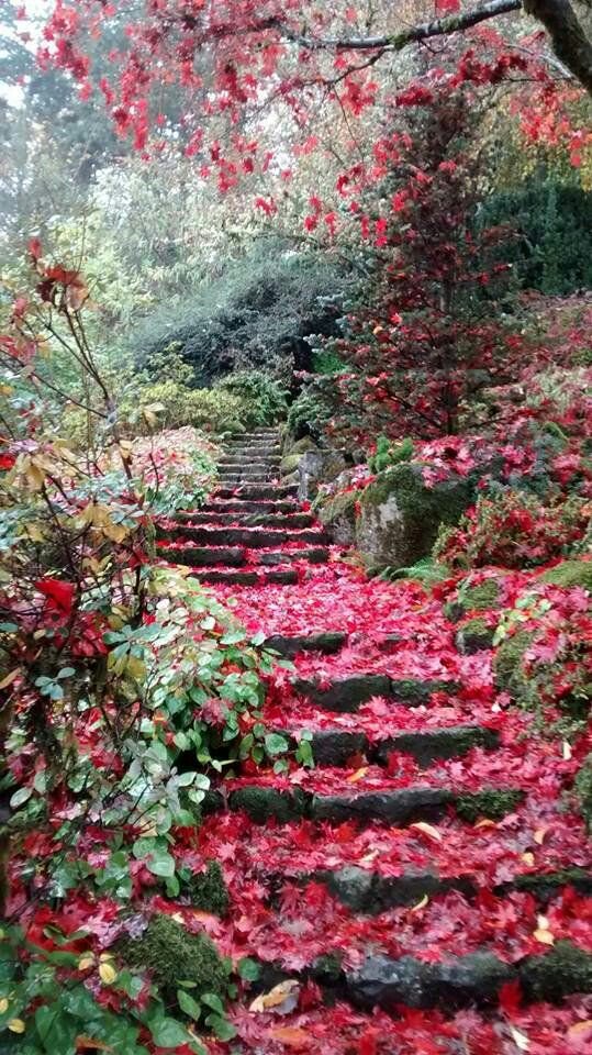 iamshoaibmalikk's tweet photo. magnolia drive by rochelle alers.rainbow fields of flowers..🌷🌷🌺🌺💐💐very beautyful.. https://t.co/mFY98oWtfM