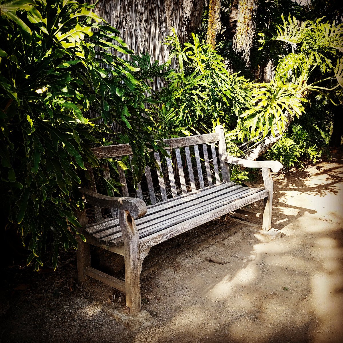 CreatorSundae's tweet photo. Bench

#bench #benchinwood #woodenbench #nature #benchinpark #park #relax #onsunday #chair #sunnyday #picturespot https://t.co/f9SX7rhVQf