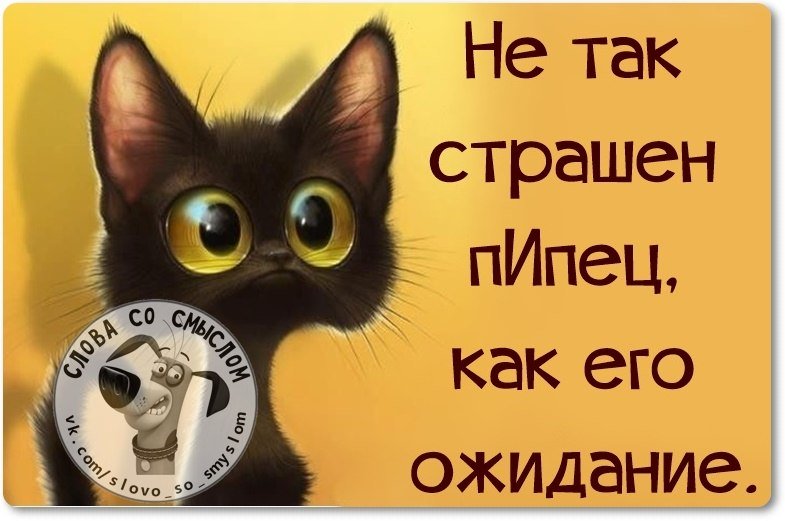 TaxiTranzit's tweet photo. #Грузовое_такси_СПб #Грузоперевозки_СПб #дачный_переезд  #квартирный_переезд #услуги_грузчиков #офисный_переезд
Точно подмечено))))) https://t.co/NsQ5p9n1vh