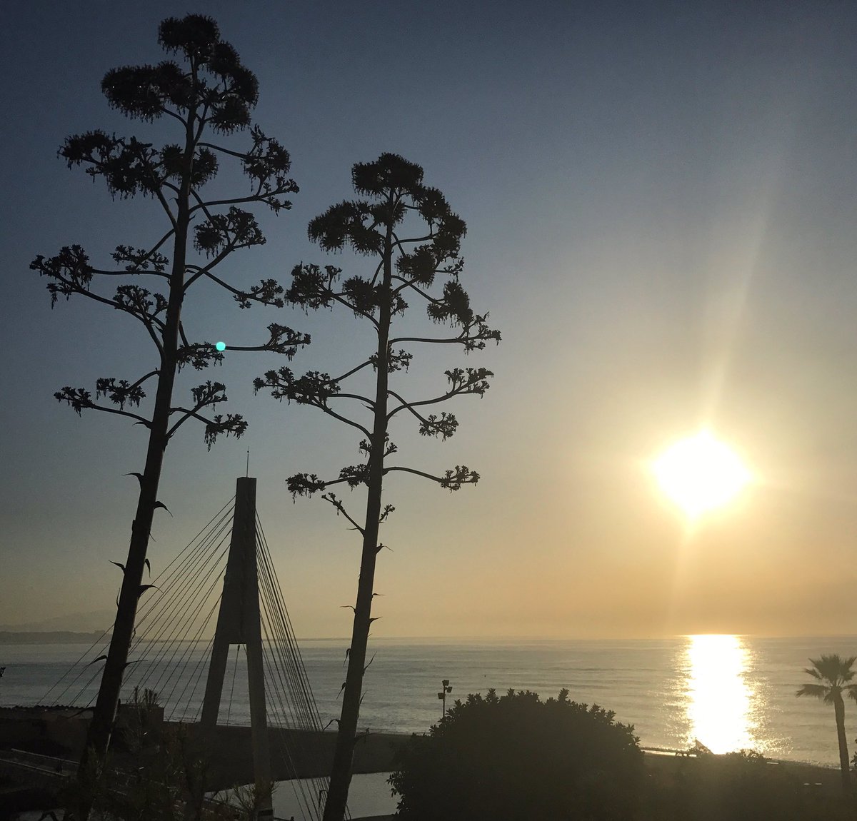 corryvh's tweet photo. Enjoy your mornings, get up early and get that energy. #walking #sunrise #energy #argi #vitaminesuplement #healthylifestyle #foreverfitspain https://t.co/H3MVbpaRKL