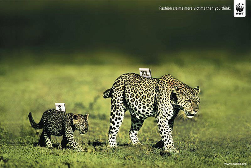 Ecogranjero's tweet photo. La moda se cobra más víctimas de las que crees .... https://t.co/Zjr081JMLN