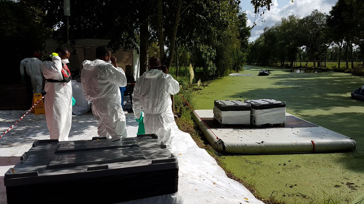 View image on Twitter