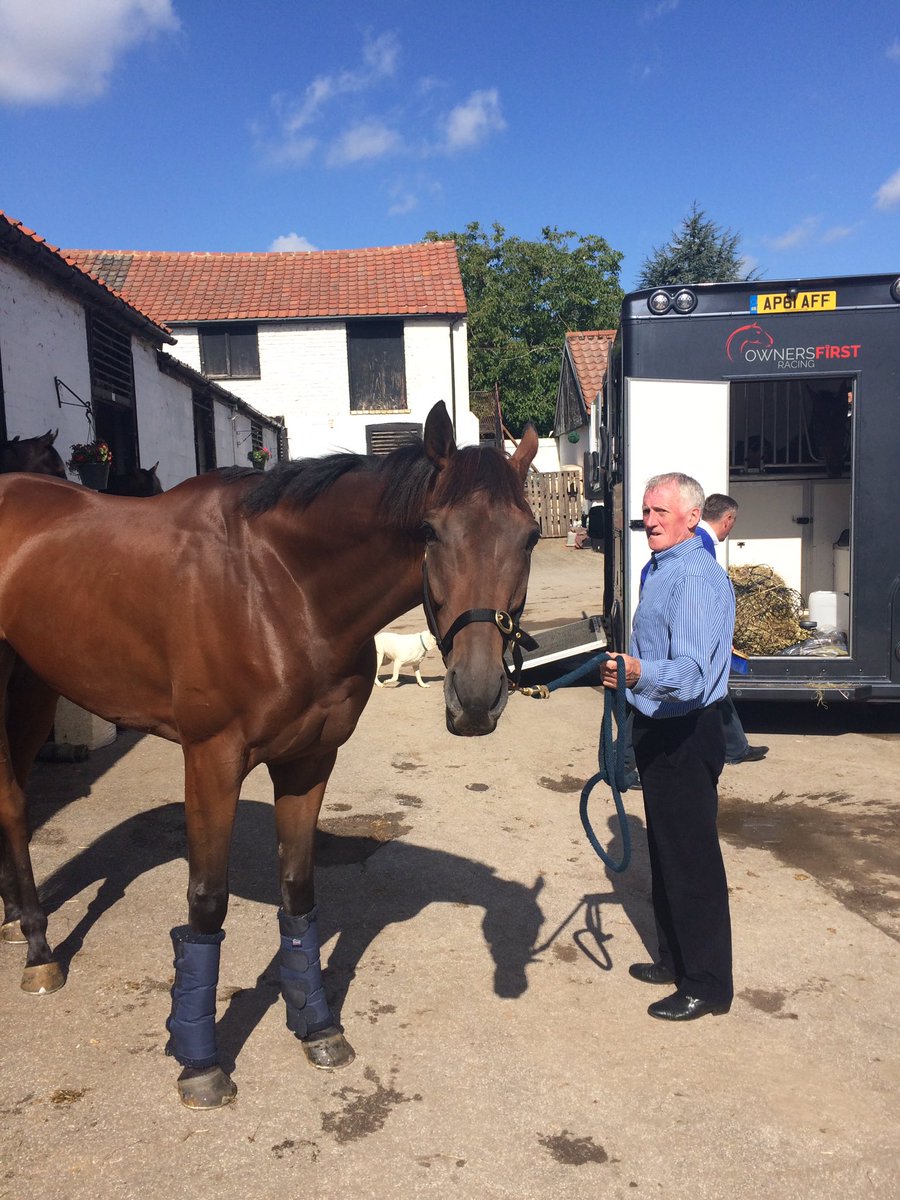 SHINING ROMEO ready to head to Sedgefield today where he will be partnered by <a href="/AidanColeman/">Aidan Coleman</a>