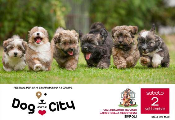 vitakraft_it's tweet photo. In #tempiRemoti, il #31agosto pensavo che il #2settembre sarei stato ad #Empoli al #DogAndTheCity! #ConAmore #Vitakraft ❤️❤️❤️ https://t.co/FvvstJLHtb