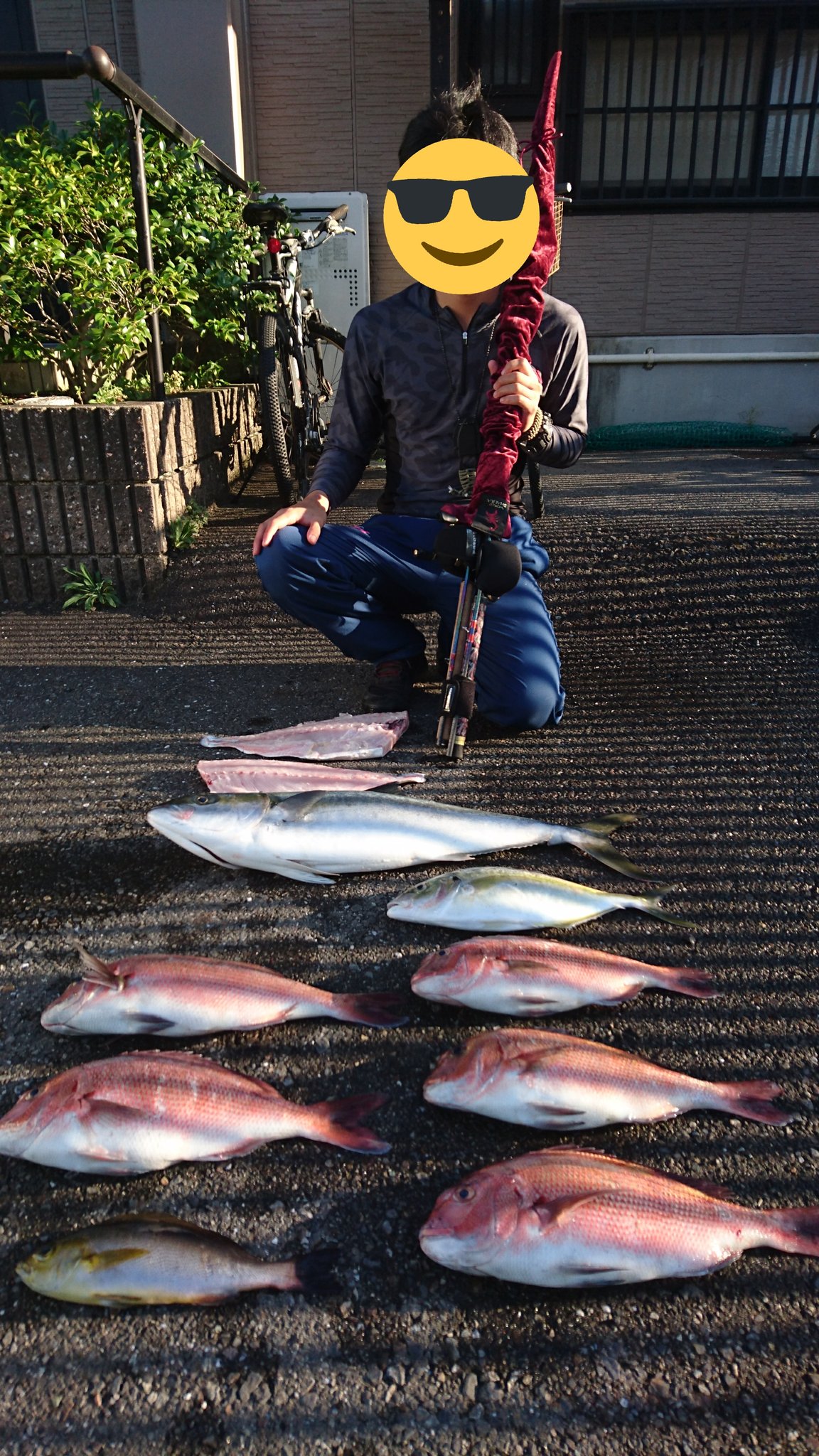 Baison 今日の釣果 かんぱち 1 おりてるやつ ひらまさ 1 しまあじ 1 マダイ5 イサキ1 タックル紹介 青物用 ワールドシャウラ1755rs 2 カルカッタコンクエスト0 ウキ釣り用 ワールドシャウラ13rs 2 アンタレスdc T Co Mtzboqgnxn Baison 今日の釣果 かんぱち 1 おりてるやつ ひらまさ 1 しまあじ 1 マダイ5 イサキ1 タックル紹介 青物用 ワールドシャウラ1755rs 2 カルカッタコンクエスト0 ウキ釣り用 ワールドシャウラ13rs 2 アンタレスdc T Co Mtzboqgnxn
