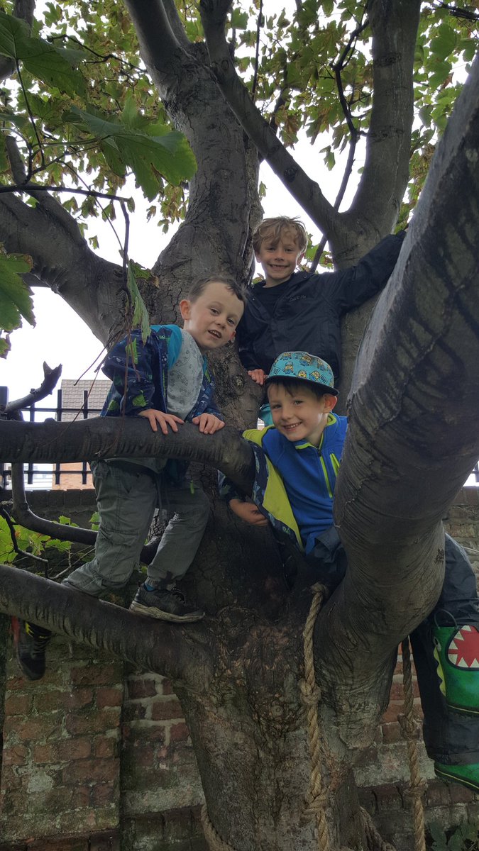 GreenTimeFS's tweet photo. Patterns, swings, climbing and campfire pizzas! @ursulineprimary https://t.co/oFlFS3wwni
