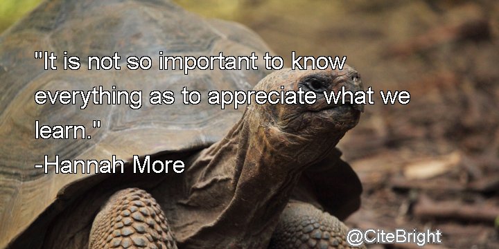 Cite Bright tweet media