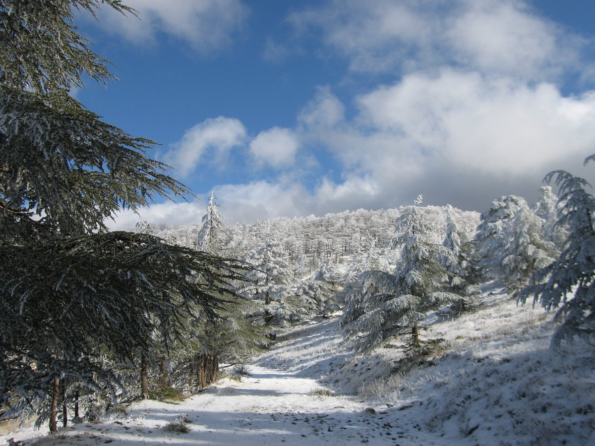 UNESCO_MAB's tweet photo. Our #BiosphereReserveOfTheDay is Belezma #Algeria #Algerie #Belezma @UNESCO_Maghreb @UNESCOarabic @UnescoAlgeria https://t.co/knbaJ9mZSS