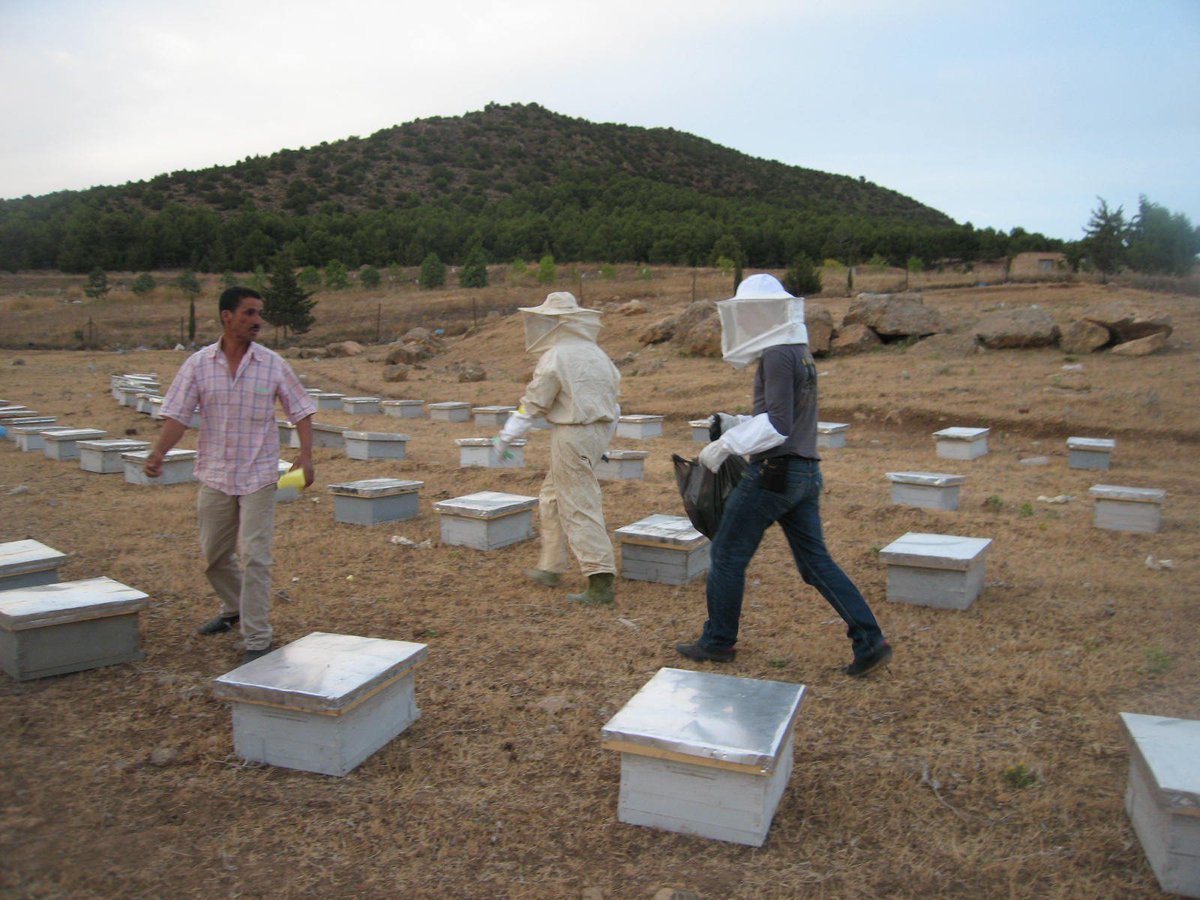 UNESCO_MAB's tweet photo. Our #BiosphereReserveOfTheDay is Belezma #Algeria #Algerie #Belezma @UNESCO_Maghreb @UNESCOarabic @UnescoAlgeria https://t.co/knbaJ9mZSS