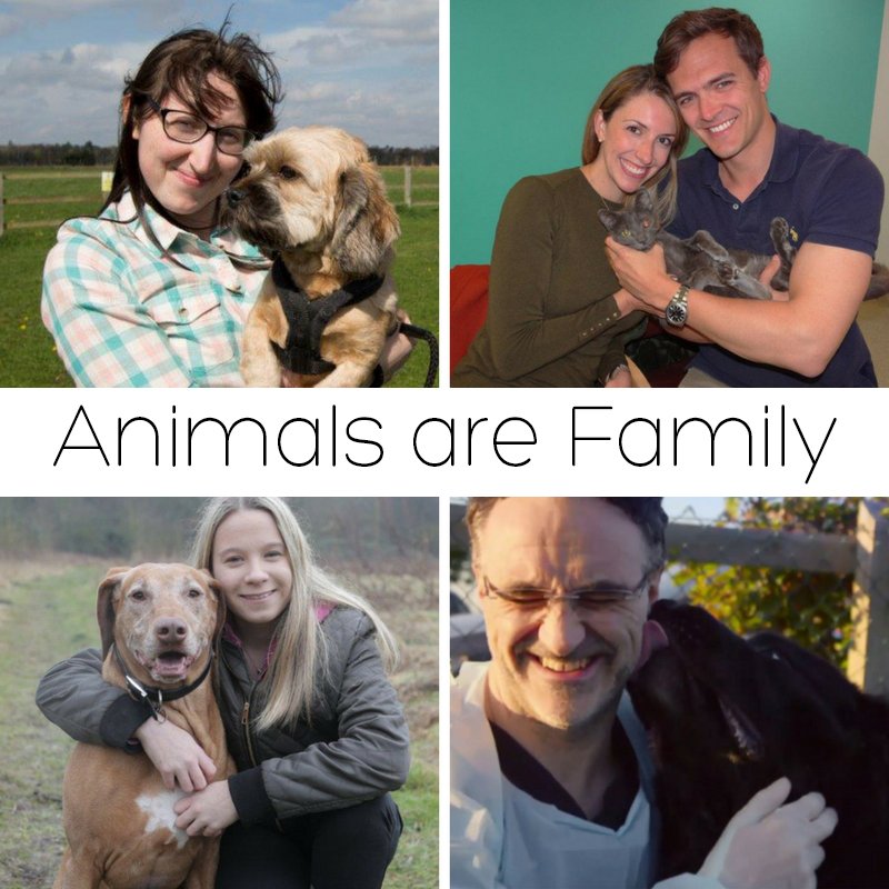 Noel Fitzpatrick On Twitter A Rather Fitting Image Of What We Are All