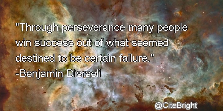 Cite Bright tweet media