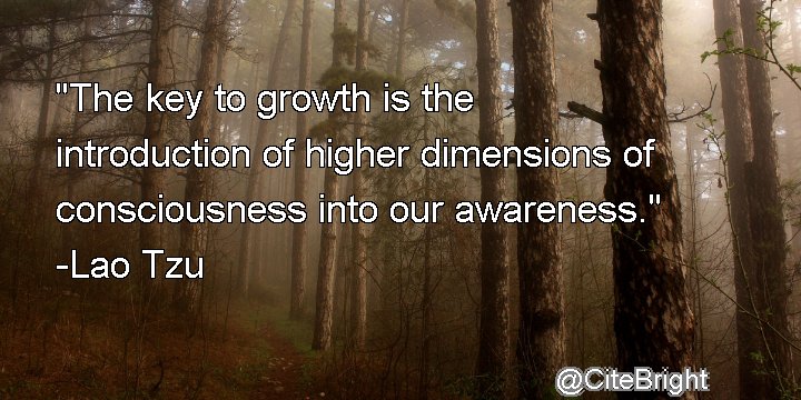 Cite Bright tweet media