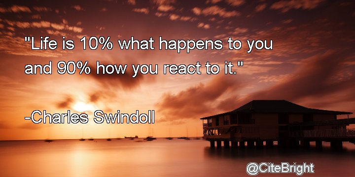 Cite Bright tweet media