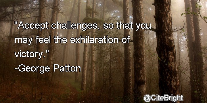 Cite Bright tweet media