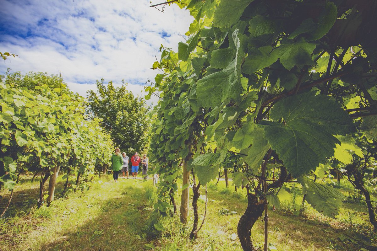 TolcarneInn's tweet photo. There’s still time to enjoy a @Polgoon tour and tasting this summer – check out @ben_tunnicliffe’s review in @CornwallLifeMag! https://t.co/HHCSZ76Cjk