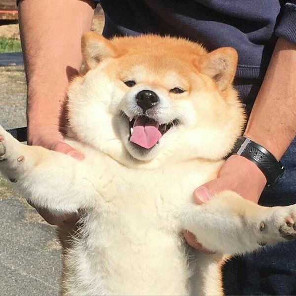StumblerTop's tweet photo. when someone forces you to go out and you actually have fun https://t.co/IbB4hMVkdJ