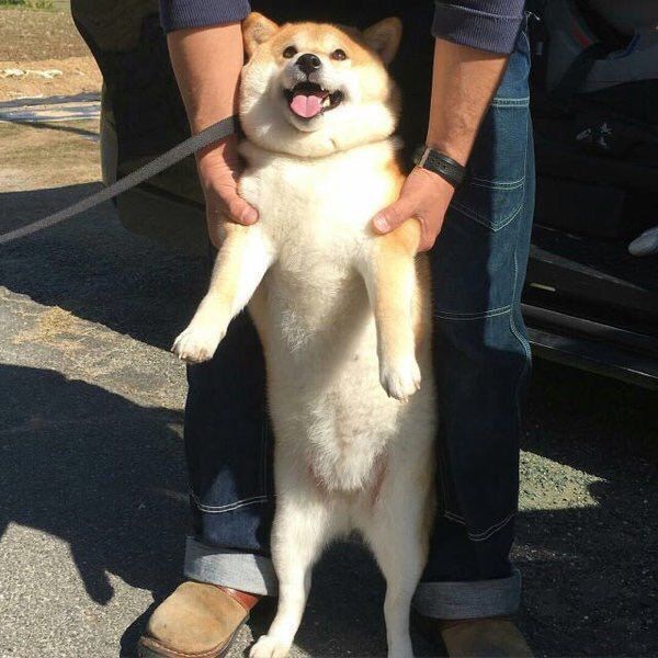 StumblerTop's tweet photo. when someone forces you to go out and you actually have fun https://t.co/IbB4hMVkdJ