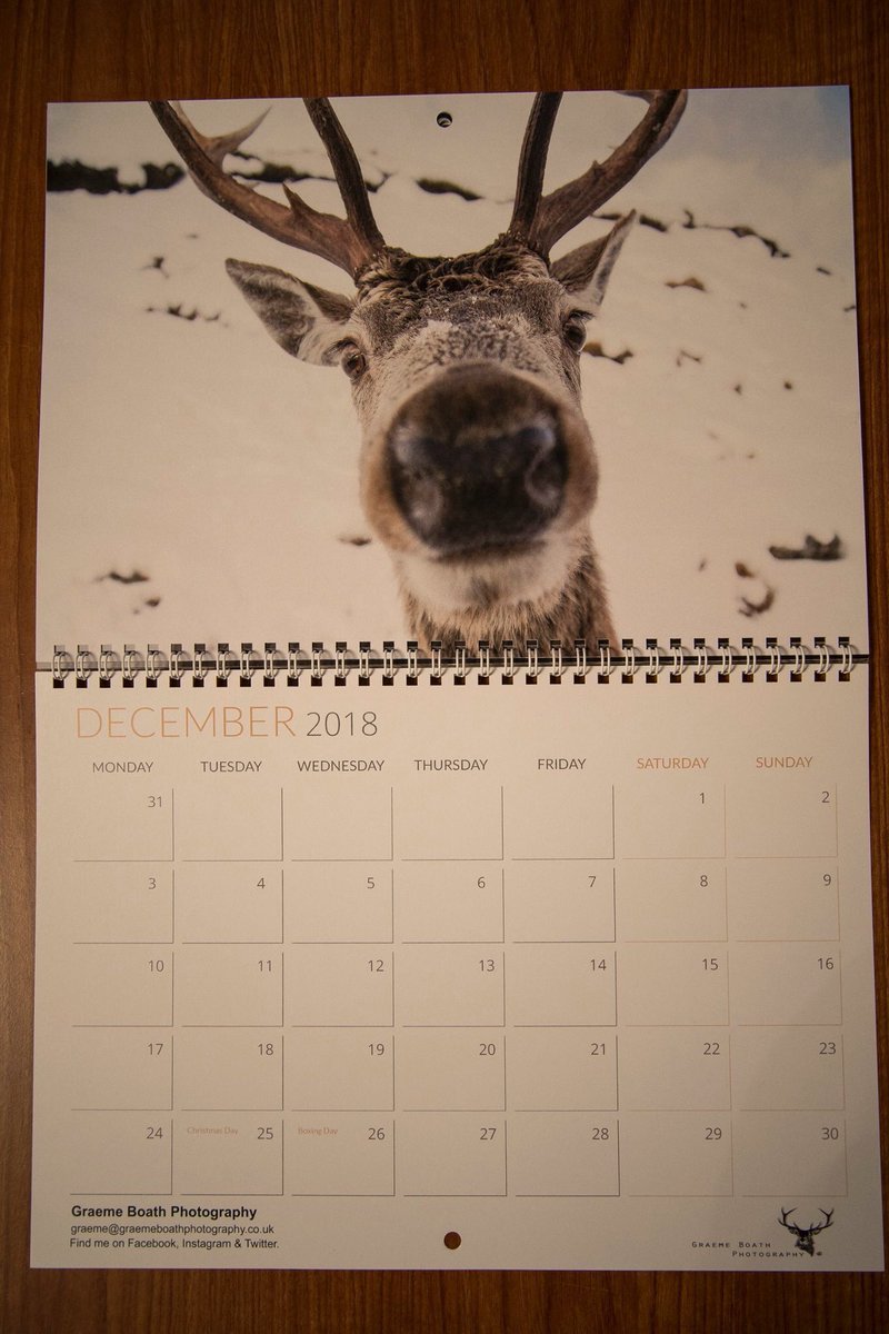 GraemeBoath1's tweet photo. Prints, greeting cards and 2018 calendars now available to order on @Etsy https://t.co/YvgrWRJyYO #photography #scotland #wildlife https://t.co/lNjvR6PNPy
