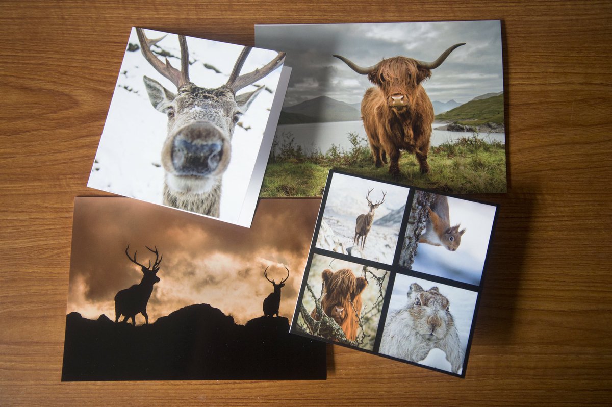 GraemeBoath1's tweet photo. Prints, greeting cards and 2018 calendars now available to order on @Etsy https://t.co/YvgrWRJyYO #photography #scotland #wildlife https://t.co/lNjvR6PNPy