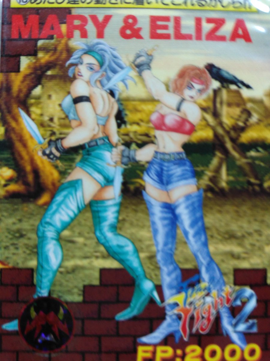 りょう Street Fighter ファイナルファイトタフ のガイドブックで市長がメイ たちに対し 毎度毎度ニューハーフで と言うんです メイは あたしたちはれっきとした女よ と返すんですが 市長の言い方だと前作のマリーとエリザは女性か怪しいんです