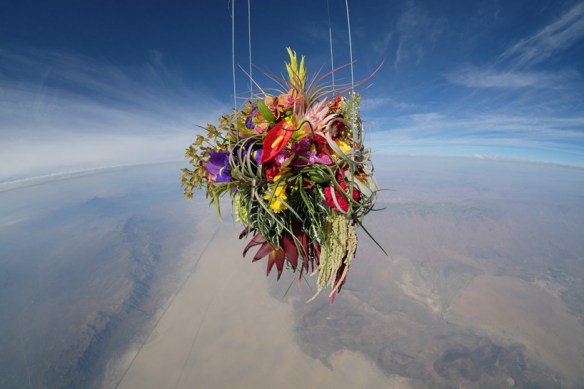Artist of the Day: photographs of bouquets sent into space by Azuma Makoto.