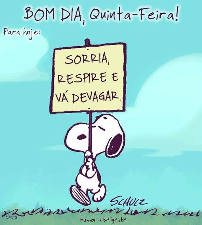 Neusa Araujo#TIMBETA (@neeusaaraujo) on Twitter photo 