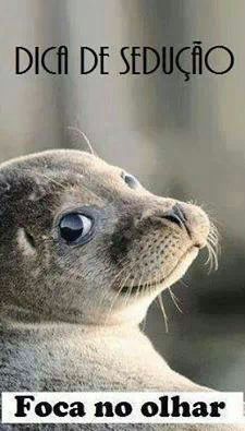 Nilda Cardoso Beta (@nildacardoso11) on Twitter photo 