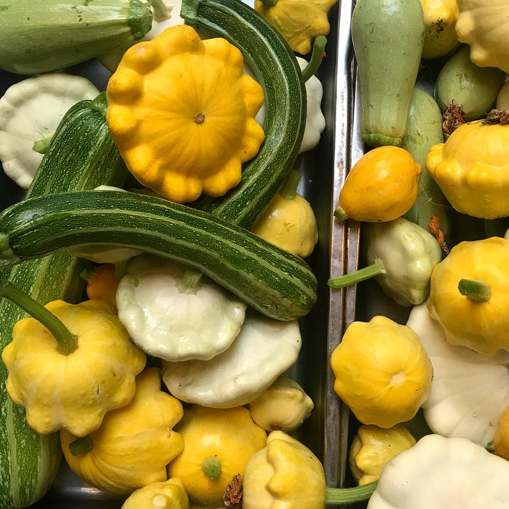 WightonSpecial's tweet image. Squash for days! Love patty pan squash. #summersquash #modelmilk