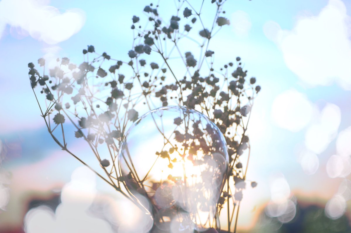 3miiita3's tweet photo. .
電球  盛り合わせ

(え？しつこいって？笑)
.
.
#オールドレンズ
#写真好きな人と繫がりたい 
#photography
#coregraphy https://t.co/Bo114iTw0B