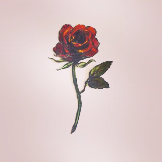 LelloueOfficial's tweet photo. Our gorgeous rock rose print was inspired from this pencil and pastel on paper by artist Tomas Baleztena #art #thursdaythought #prints #love https://t.co/yDwVFy3qOA