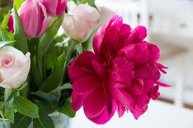 anuiswarya23's tweet photo. @Maheshms243 @ammuvi new reply https://t.co/l3AFnXGP4a