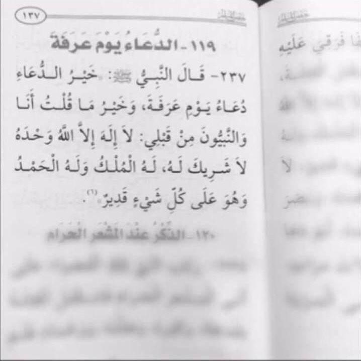 #الدُّعٓاءْ_يٓومٓ_عٓـرٓفٓة_