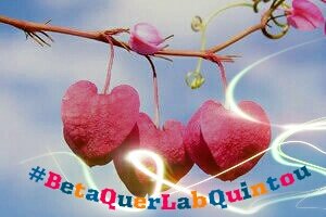 #BetaQuerLabQuintou no último dia do mês, encha-se de amor e de paz pra seguir em frente e ter um setembro iluminado e feliz!!

#BetaQuerLab