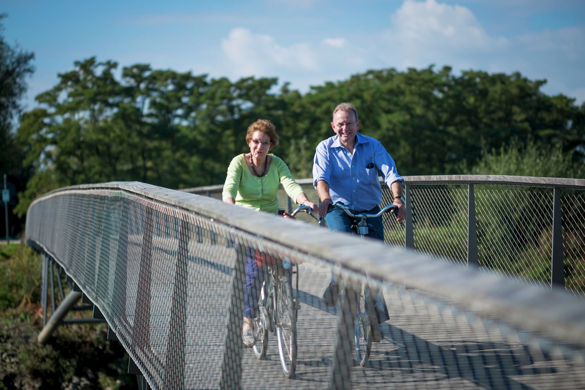 Scheldeland tweet media