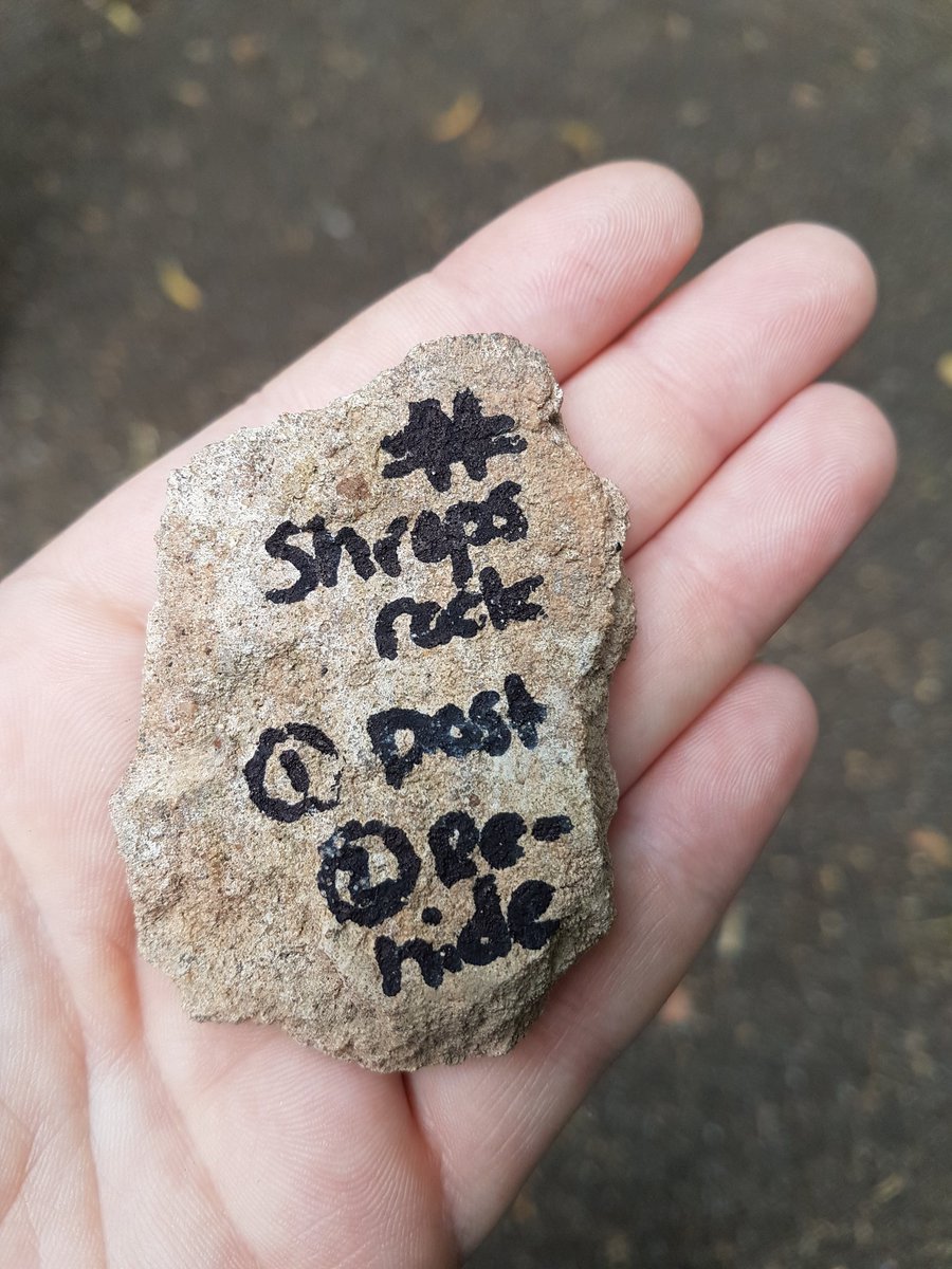 MoffatVix's tweet photo. Elliotte (age5) found your #Shrepsrock at #GrosvenorPark today thankyou xx https://t.co/8KtQXhG4NT