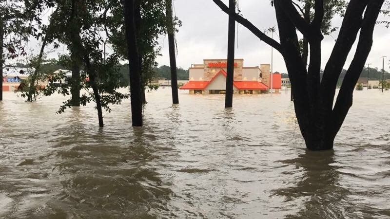 KPLC7News's tweet photo. Whataburger donates nearly $2 million to hurricane victims
https://t.co/qzHwhWUhL0 https://t.co/BizhFMFgxu
