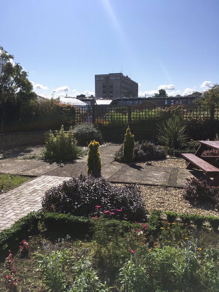 DASAVPKingsway's tweet photo. Great working in the gardens today at Kingsway campus @dundee_angus https://t.co/zI5LjC8yeC
