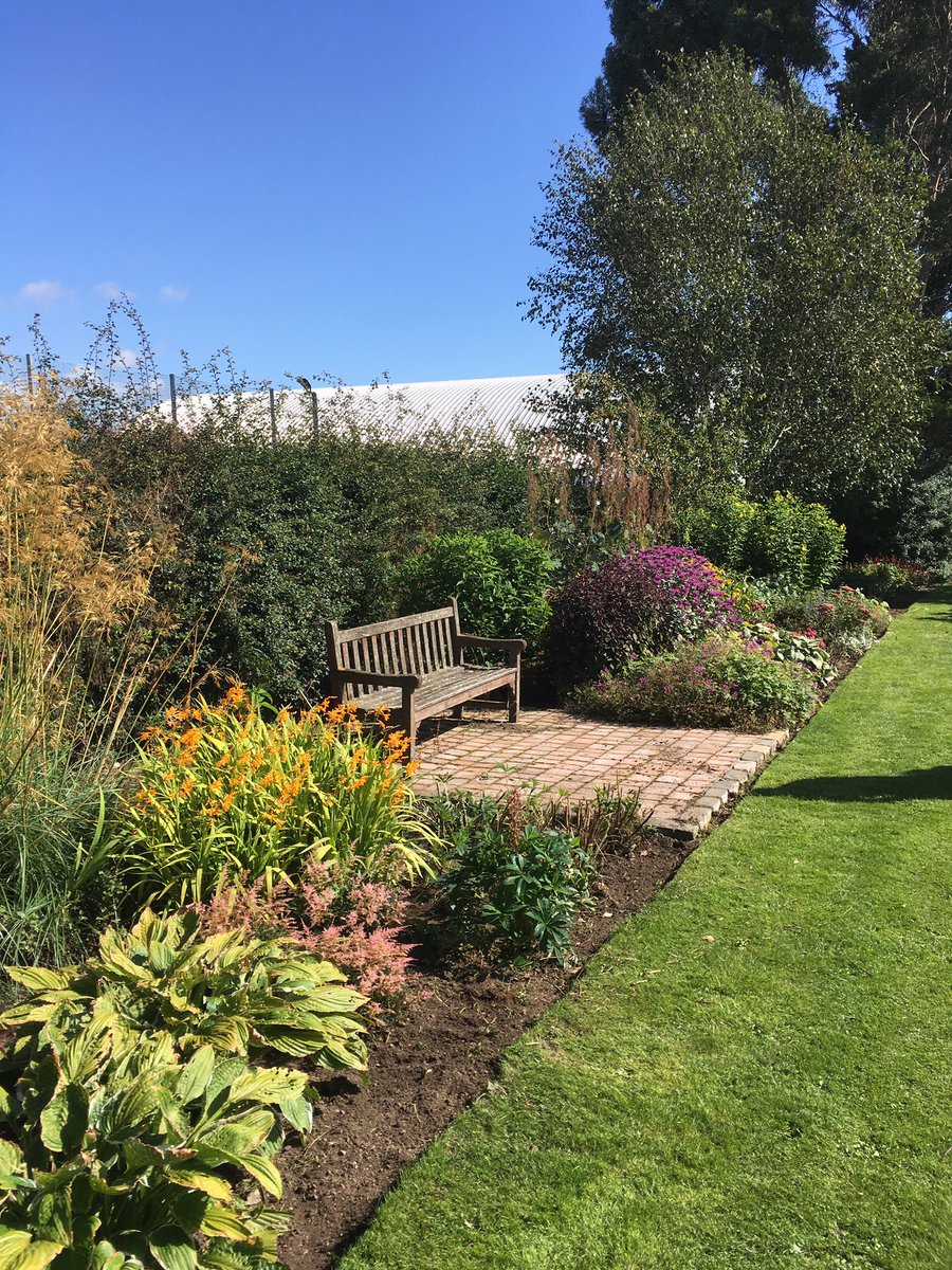 DASAVPKingsway's tweet photo. Great working in the gardens today at Kingsway campus @dundee_angus https://t.co/zI5LjC8yeC