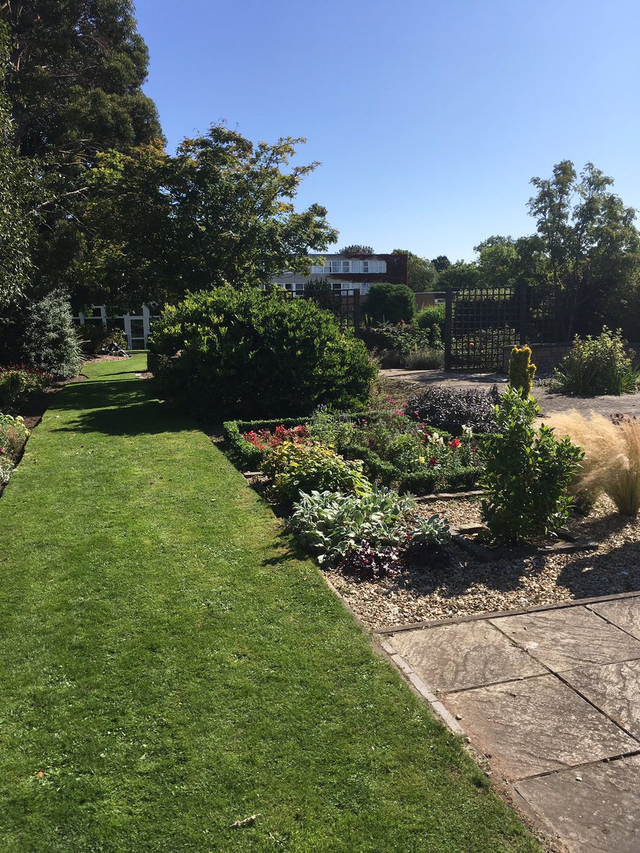 DASAVPKingsway's tweet photo. Great working in the gardens today at Kingsway campus @dundee_angus https://t.co/zI5LjC8yeC