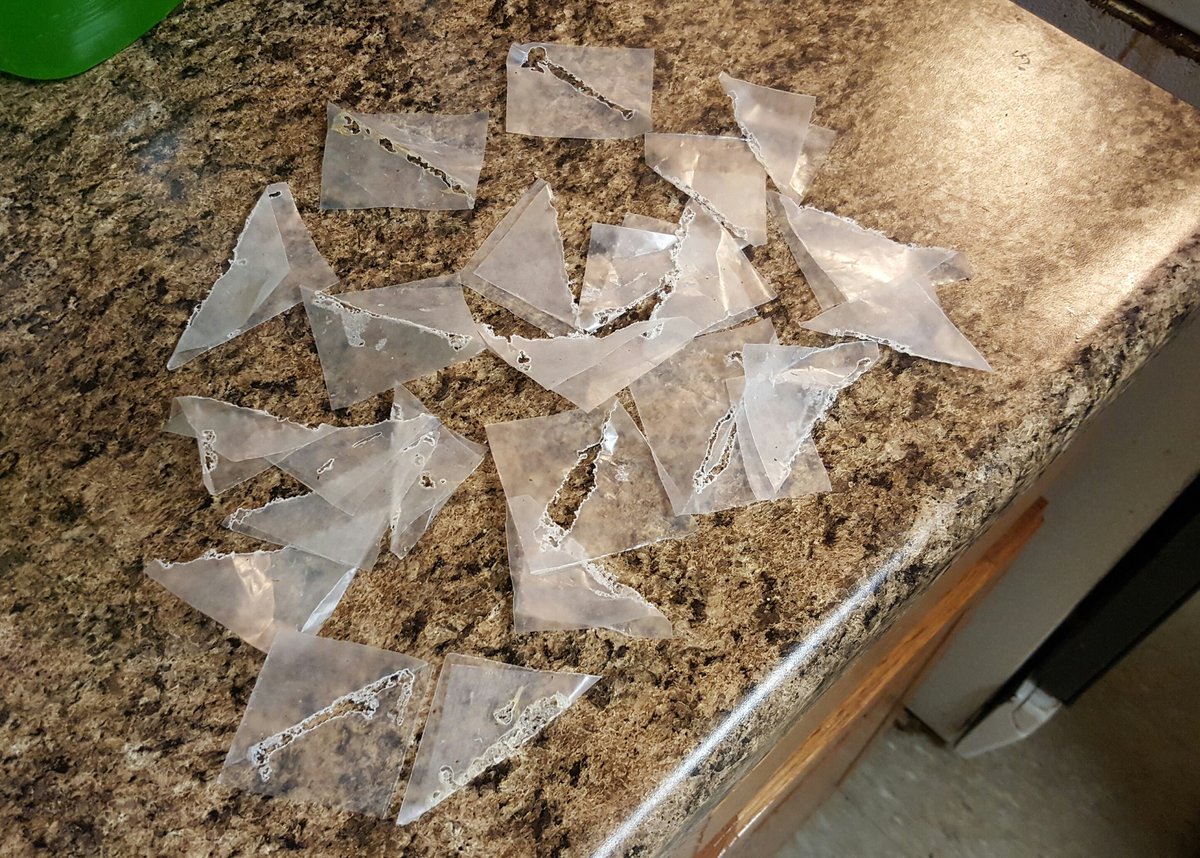 Overnight monitoring gives you a sense of population size. We put 30g of bait in this apartment. The cockroaches ate it all.