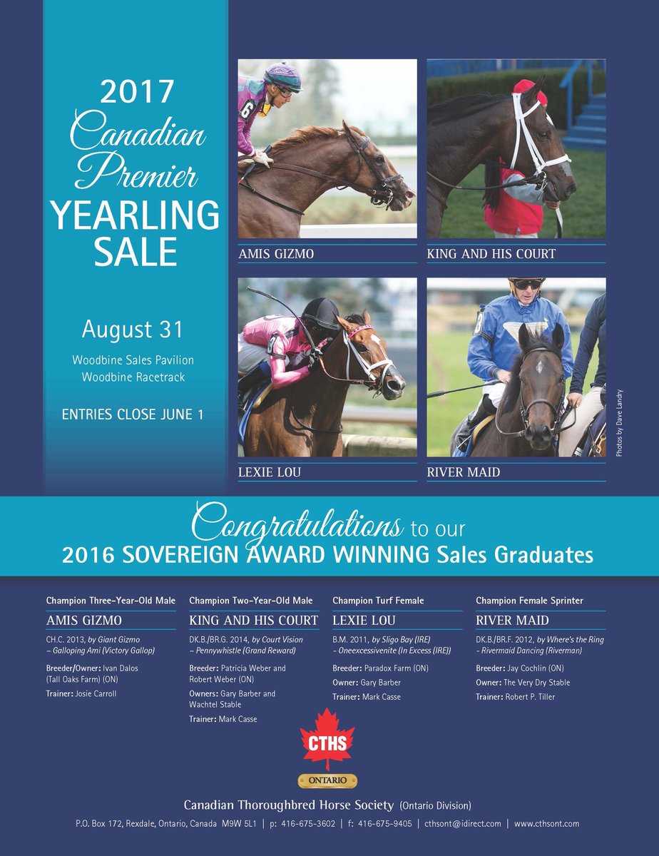 CanadianMillion's tweet photo. Today is your chance to Get into the Game!  CTHS Premier Yearling Sale - starts at 11:30 a.m. @WoodbineRacing @ONTRacing @OLGtoday Join us! https://t.co/yFaUWzcyG0