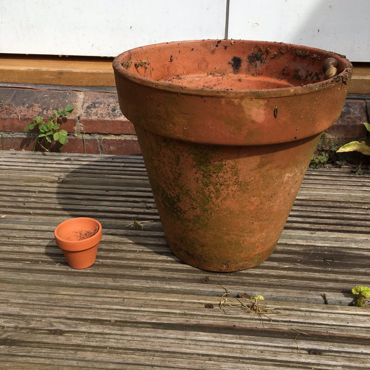 Amazing how flowerpot technology has developed. My current flowerpot (left)and an original 80s flowerpot, the size of a brick!
